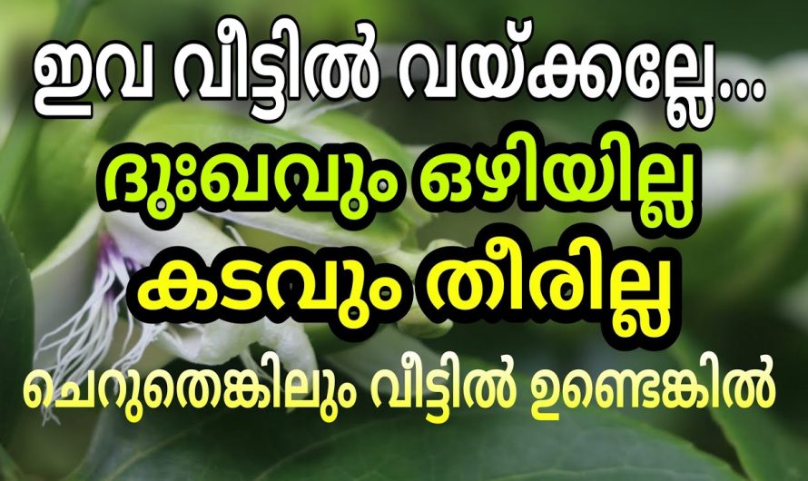 കാരണം കൂടാതെ നിങ്ങളുടെ വീട്ടിലും വഴക്കുകൾ ഉണ്ടാകാറുണ്ടോ