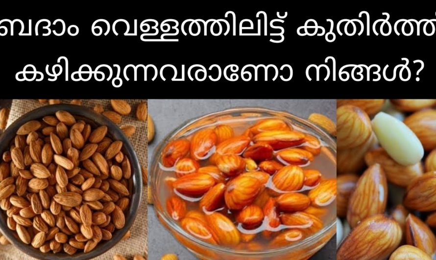 ഇതിന്റെ യഥാർത്ഥ ഗുണം ലഭിക്കണമെങ്കിൽ ഇത് ഈ രീതിയിൽ തന്നെ കഴിക്കണം