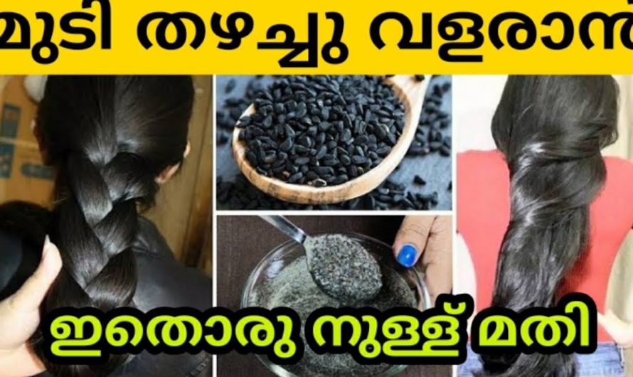തീ പോലും കത്തിക്കാതെ എണ്ണ കാച്ചി എടുക്കാം, അതിശയിപ്പിക്കുന്ന റിസൾട്ട് ഉണ്ടാകും തീർച്ച