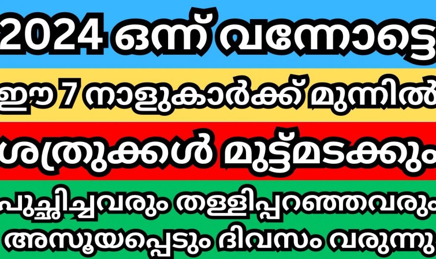 കുറ്റപ്പെടുത്തിയവരെല്ലാം ഇനി ഇവരെ നോക്കി അസൂയപ്പെടും