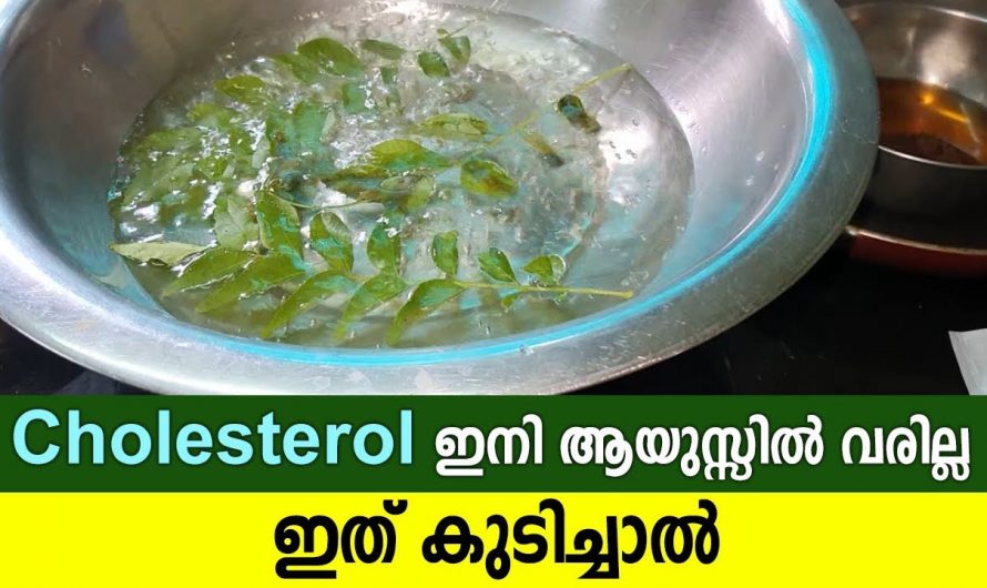 ഇനി ധൈര്യമായി മരുന്നുകൾ ഉപേക്ഷിക്കാൻ പകരം ഈ ഇല മതി കൊളസ്ട്രോളിന് ഇല്ലാതാക്കാൻ