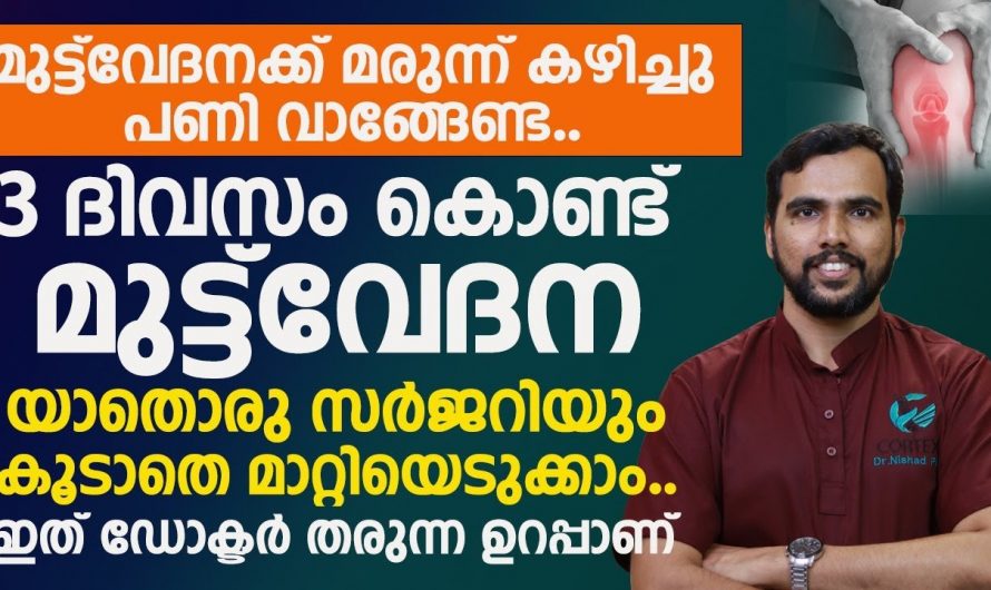 ഇനി ഒരു മരുന്നും വേണ്ട വേദന നിങ്ങളുടെ പരിസരത്ത് വരില്ല