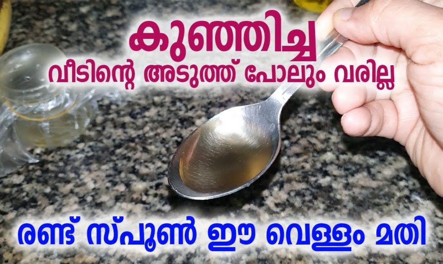 ഈ കുഞ്ഞിച്ചയാണോ നിങ്ങളുടെ പ്രശ്നം എങ്കിൽ ഒരു ടീസ്പൂൺ മതി