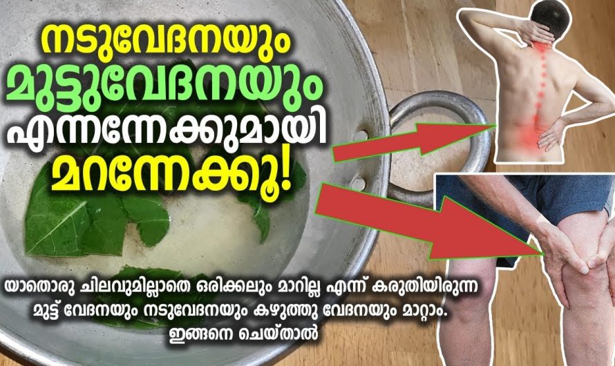 വേദന അത് എവിടെയാണെങ്കിലും പരിഹാരം ഇവിടെയുണ്ട്