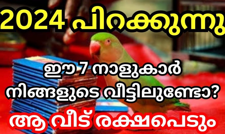 ഈ പുതുവർഷം നിങ്ങളുടെ വീട്ടിലേക്ക് ഇവരിലൂടെ സൗഭാഗ്യം കടന്നുവരുന്നു