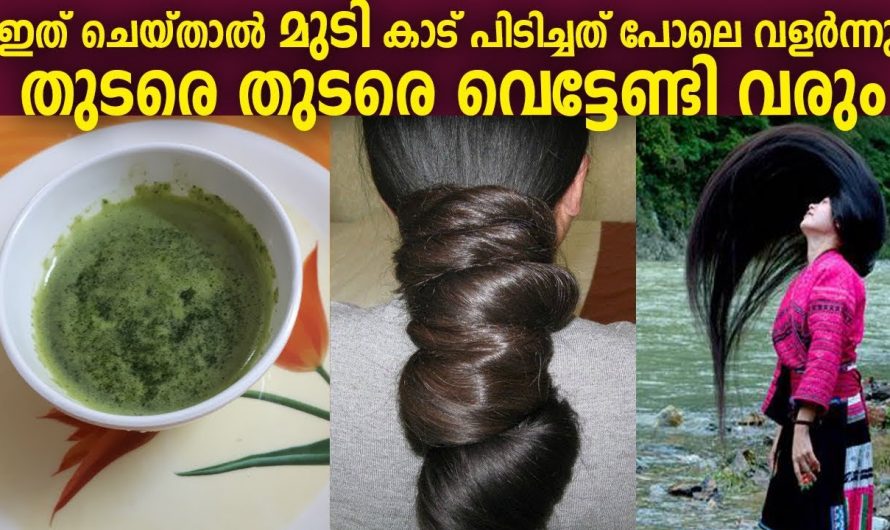 മുടി കൊഴിച്ചിൽ മാറി മുടി കാടു പോലെ വളരുന്നതിന് കുളിക്കുന്നത് ഇങ്ങനെ ചെയ്യു