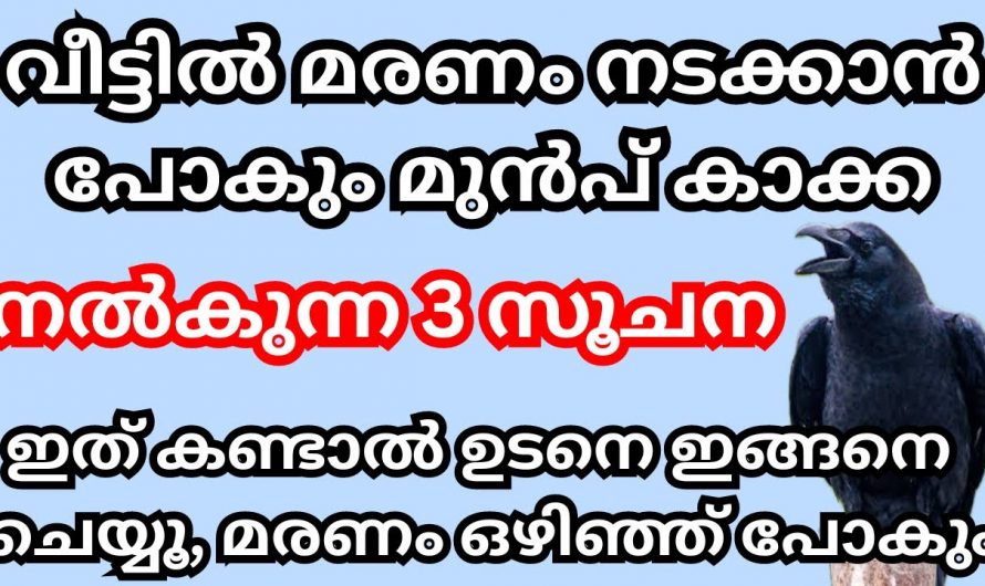 കാക്ക നിങ്ങളുടെ വീട്ടിൽ ഈ ലക്ഷണങ്ങൾ കാണിച്ചാൽ നിസ്സാരമാക്കരുത് മരണം പോലും സംഭവിക്കാം