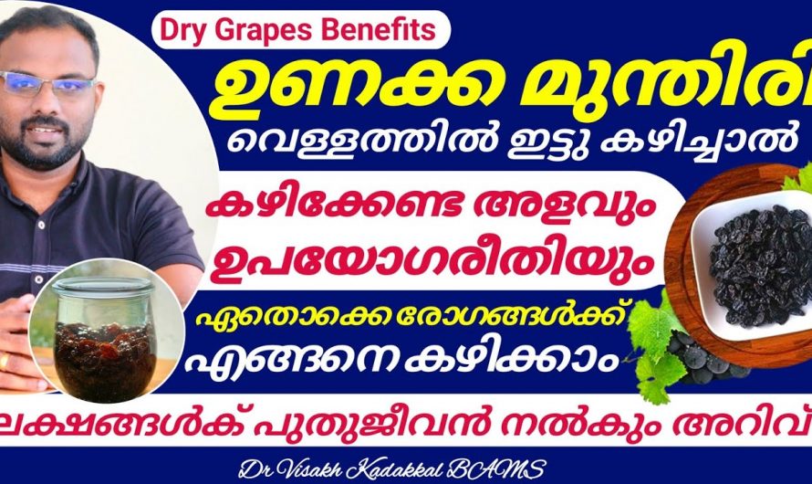 ദിവസവും ഉണക്കമുന്തിരി കഴിചാൽ സംഭവിക്കുന്ന ഈ കാര്യം അറിയാമോ