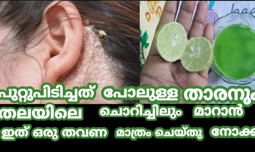 എത്ര പുറ്റിപിടിച്ച കാരണം ഈസിയായി ഇല്ലാതാക്കാൻ ഈ ഒരു ഇല മതി
