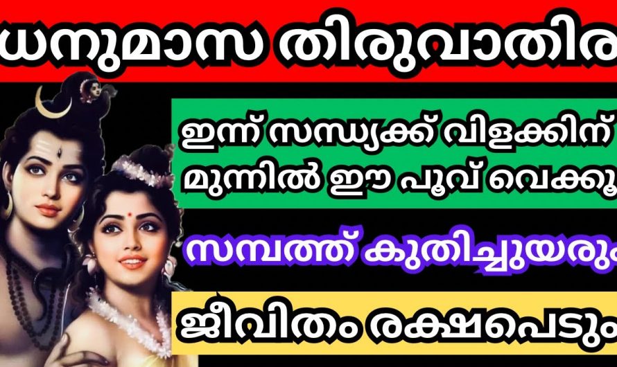 കുടുംബത്തിന്റെ ഐശ്വര്യത്തിന് സ്ത്രീകൾ ധനുമാസ തിരുവാതിരയിൽ ഇങ്ങനെ ചെയ്യണം