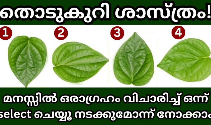 നിങ്ങളുടെ ഭാവി അറിയാൻ ഈ ഇലയുടെ ഭാവം കണ്ടാൽ മതി