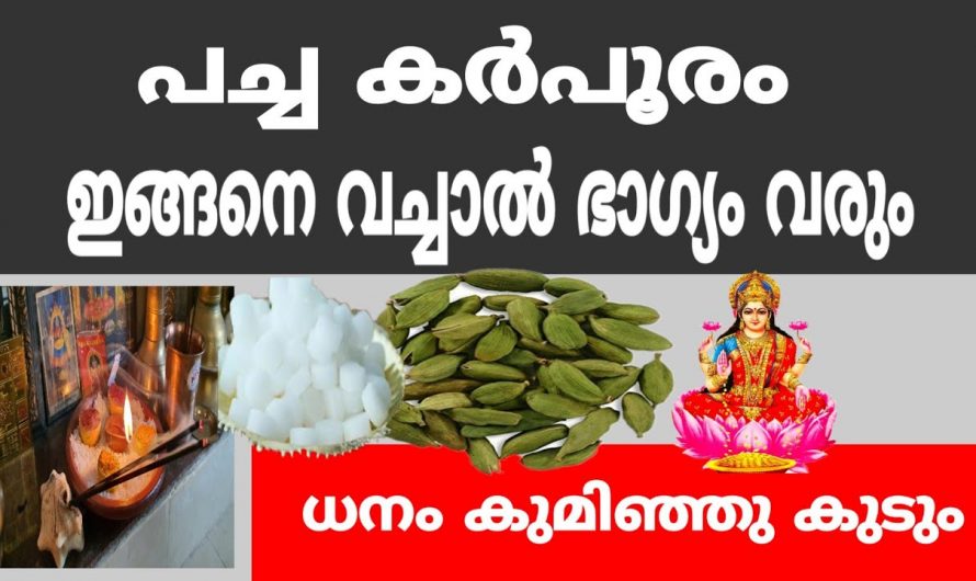 നിങ്ങളും ജീവിതത്തിൽ അഭിവൃദ്ധി ആഗ്രഹിക്കുന്നവരാണോ എങ്കിൽ ഇങ്ങനെ ചെയ്യു