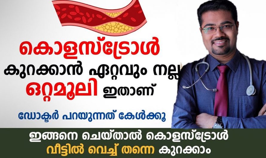കൊളസ്ട്രോൾ കൂടിയാൽ ഇറച്ചിയും മുട്ടയും ഉപേക്ഷിക്കുന്നവർ ഇത് അറിയാതിരിക്കരുത്