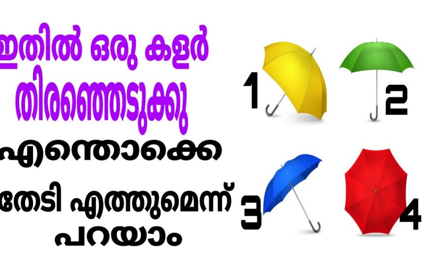 ഇനി നിങ്ങളുടെ ഭാഗ്യം അറിയാൻ ഇവയിൽനിന്നും ഒന്ന് തെരഞ്ഞെടുക്കു