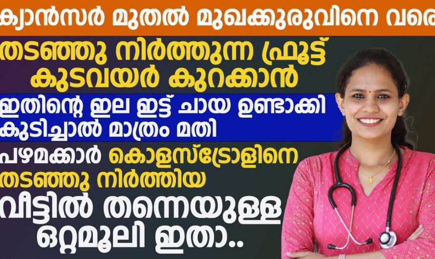 പറമ്പിലുള്ള ഈ ചെടിക്കും പഴത്തിനും ഇത്രയും ആരോഗ്യ ഗുണങ്ങളോ