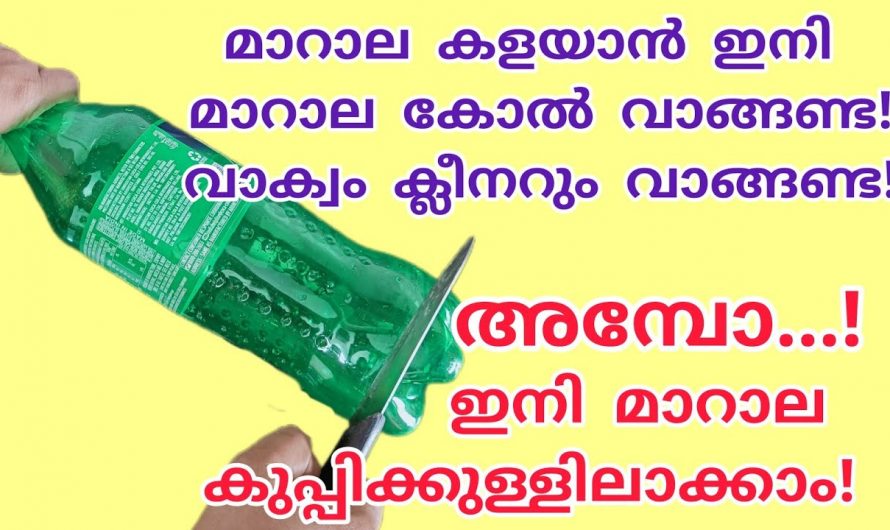 ഇനി മാറാല ചൂല് അന്വേഷിച്ച് സമയം കളയണ്ട, ഇങ്ങനെ ചെയ്താൽ വളരെ എളുപ്പമാണ്