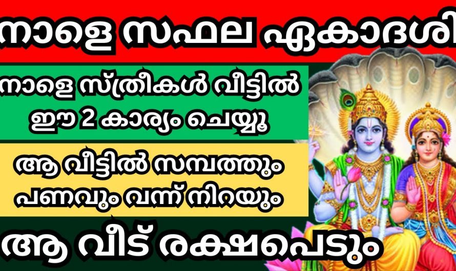 ജീവിതനിലവാരം തന്നെ മാറിപ്പോകും നാളെ സഫല ഏകാദശി