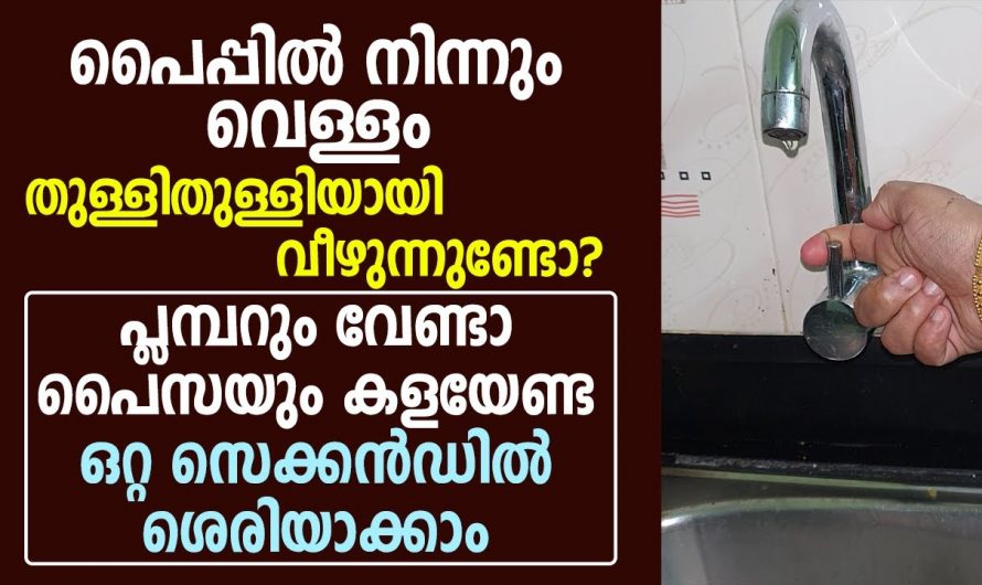 അടുക്കളയിലെ പൈപ്പിൽ നിന്നും ഒരു തുള്ളി പോലും ഇനി വെറുതെ വേസ്റ്റാക്കില്ല