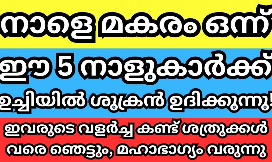 ശത്രുവിനെ പോലും അസൂയപ്പെടുത്തും ഇവരുടെ വളർച്ച