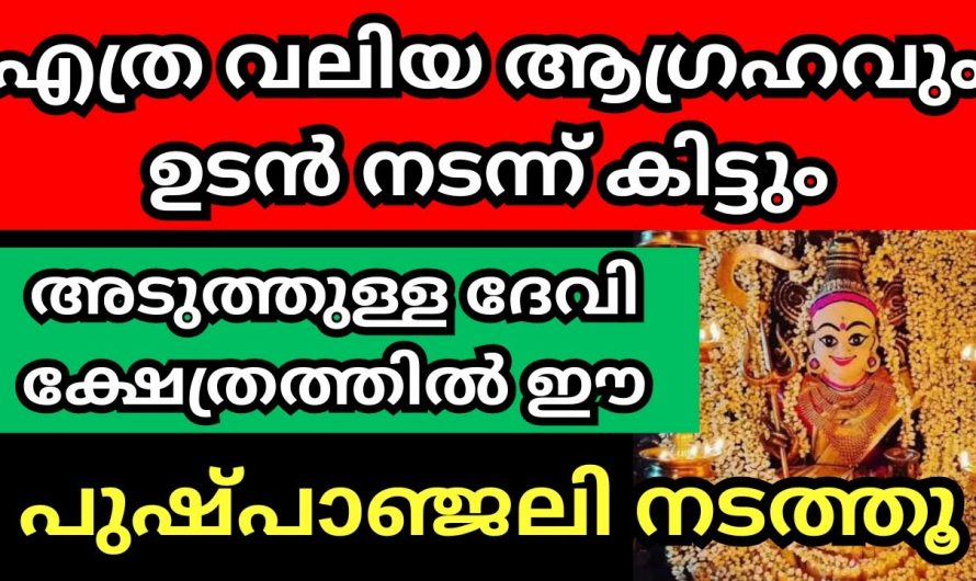 ദൂരെ എവിടെയും പോകണ്ട നിങ്ങളുടെ കൺമുന്നിൽ ഉണ്ട് പ്രശ്നങ്ങൾക്കുള്ള പരിഹാരം