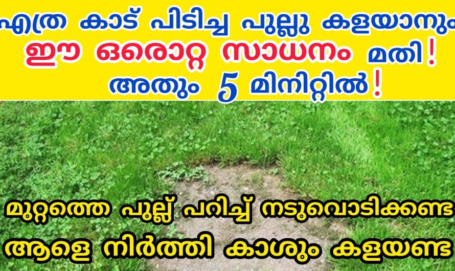 ഇനി പുല്ലു പറിച്ച് സമയം കളയണ്ട ഇത് ഉണ്ടെങ്കിൽ വളരെ എളുപ്പം