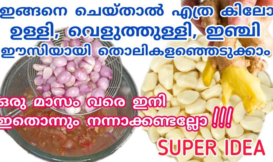 ഇഞ്ചിയും വെളുത്തുള്ളിയും ഇനി എത്ര കിലോ വേണമെങ്കിലും വൃത്തിയാക്കി സൂക്ഷിക്കാം