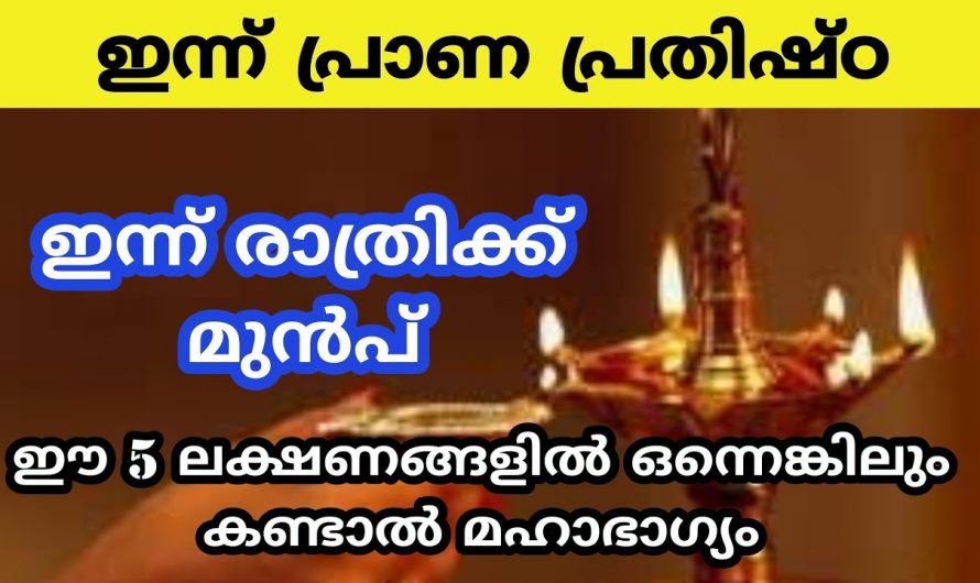 ഇവയിൽ ഏതെങ്കിലും ലക്ഷണം കണ്ടാൽ ഉറപ്പിച്ചോളൂ ഭാഗ്യമാണ്