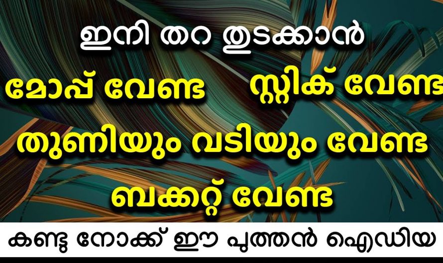 ഒട്ടും കഷ്ടപ്പെടാതെ തുടയ്ക്കാൻ ഇതിലും നല്ല എളുപ്പവഴി വേറെ ഇല്ല