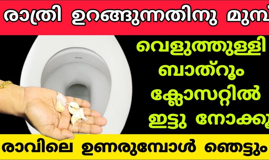 ടോയ്‌ലറ്റും അടുക്കള സിങ്കും ഇനി ഒരു കൃമി പോലും അവശേഷിക്കില്ല ബ്ലോക്ക് ആകില്ല