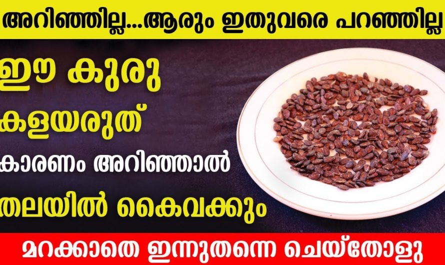 അറിയാതെപോലും ഇനി ഈ കുരു വലിച്ചെറിഞ്ഞ് കളയരുത്