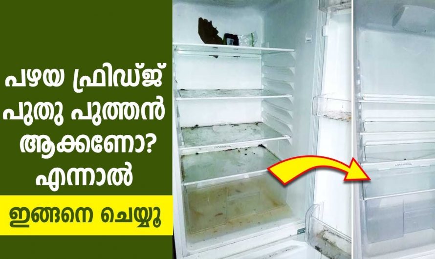 കണ്ണാടി പോലെ ഇനി ഫ്രിഡ്ജും തിളങ്ങും ഇങ്ങനെ ചെയ്താൽ