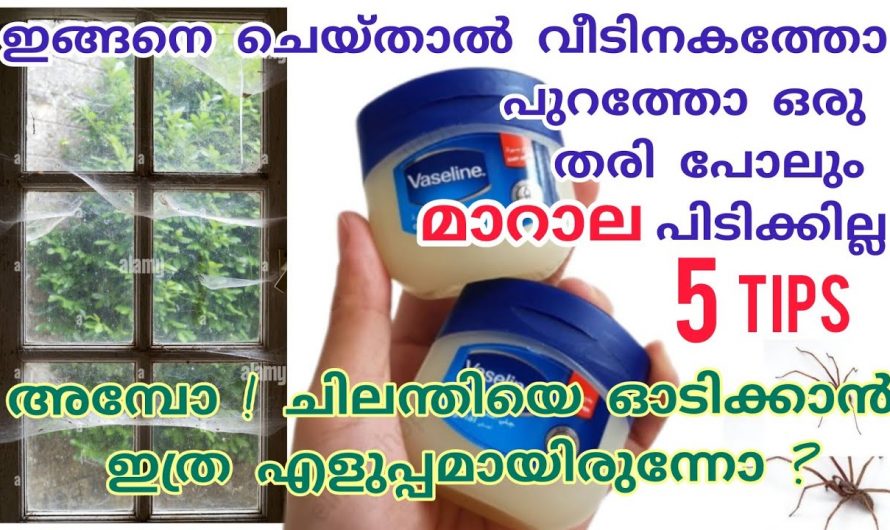 ഇത്രയും നല്ല കിച്ചൻ ടിപ്പുകൾ കണ്ടില്ലെങ്കിൽ വലിയ നഷ്ടമാകും