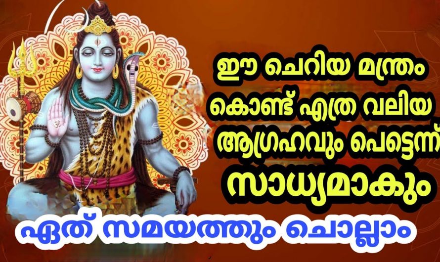 ഏത് ആഗ്രഹവും സാധിക്കാൻ ഇനി ഈ ഒരു മണ്ടൻ മാത്രം മതി