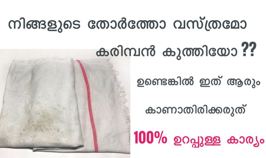 കരിമ്പൻ ഇല്ലാതെ വസ്ത്രങ്ങൾ ഇനി പുതുപുത്തൻ പോലെയാക്കാം ഇങ്ങനെ ചെയ്യു