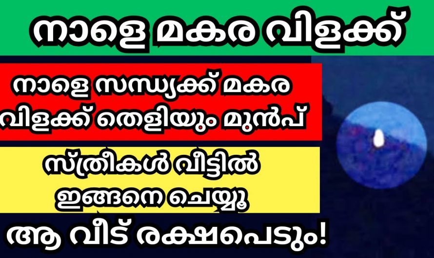 നാളത്തെ ദിവസം വീട്ടിൽ പശു വന്നാൽ സംഭവിക്കുന്നതും, ചെയ്യേണ്ടതും