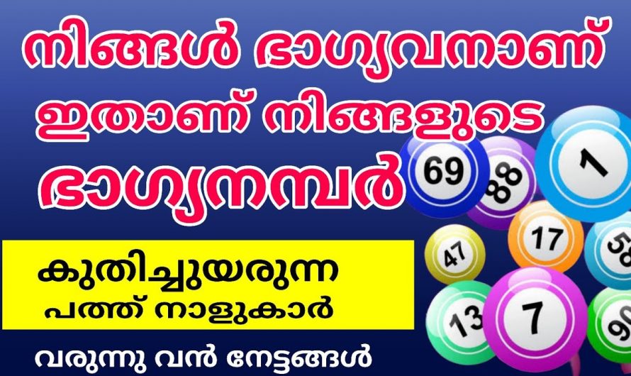 ഇനി ഈ നക്ഷത്രക്കാരുടെ ഭാഗ്യ ദിനങ്ങൾ ആണ് വരാൻ പോകുന്നത്