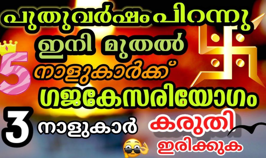 പുതു വർഷത്തിൽ തൊട്ടതെല്ലാം  പൊന്നാക്കുന്ന, കിരീടവും ചെങ്കോലും ഇല്ലാത്ത രാജാവ് ആകും നിങ്ങൾ