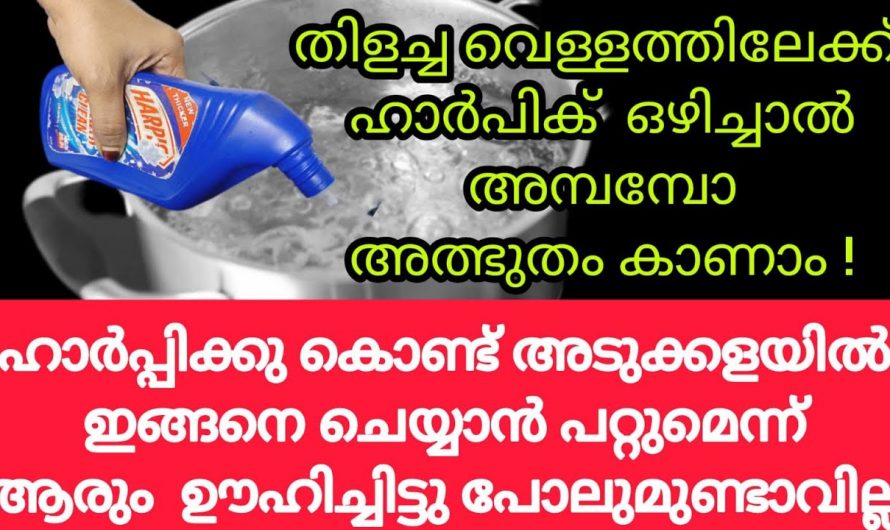 ഇനി അടുക്കളയിലും  ആർപിക് തിളങ്ങും, തിളച്ച വെള്ളത്തിലേക്ക് ഹാർപിക്ക് ഒഴിക്കു