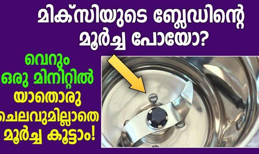 ഇനി ഒരു മിനിറ്റ് മതി മിക്സിയുടെ ബ്ലേഡിനെ മൂർച്ച കൂട്ടാൻ