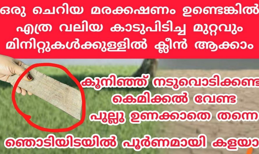 ഇനി മുറ്റത്തെ പുല്ല് പറിയ്ക്കാൻ കുനിഞ്ഞു നിന്ന്  കഷ്ടപ്പെടേണ്ട, ഒരു ചെറിയ മരക്കഷണം മാത്രം മതി