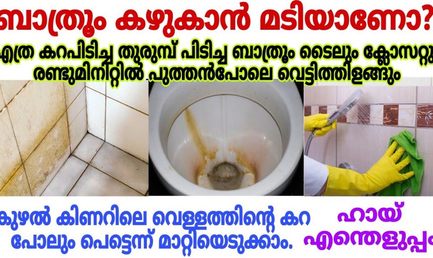 കൈ തൊടാതെ ഇനി നിങ്ങളുടെ ബാത്റൂം ക്ലീനാകും