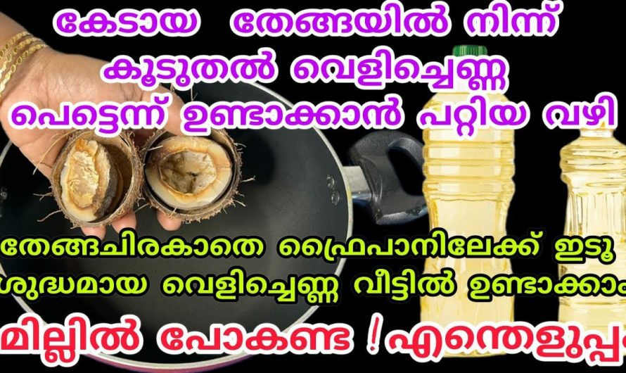 ഇനി നാളികേരം ഉണക്കാനും ചിരകാനോ നിൽക്കേണ്ട നല്ല ഫ്രഷ് വെളിച്ചെണ്ണ വീട്ടിൽ ഉണ്ടാക്കാം