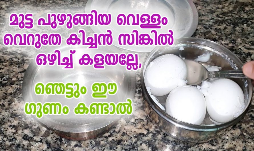 ഇതറിഞ്ഞാൽ നിങ്ങൾ ഇനി മുട്ടത്തുണ്ട് വെറുതെ കളയില്ല