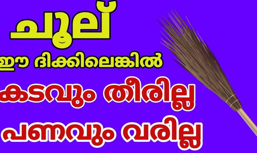 വെറുതെയല്ല ഇത്രയും നാൾ ഗുണം പിടിക്കാതെ പോയത്, ചൂല് ഇങ്ങനെ വയ്ക്കണമെന്ന് അറിയില്ലായിരുന്നോ