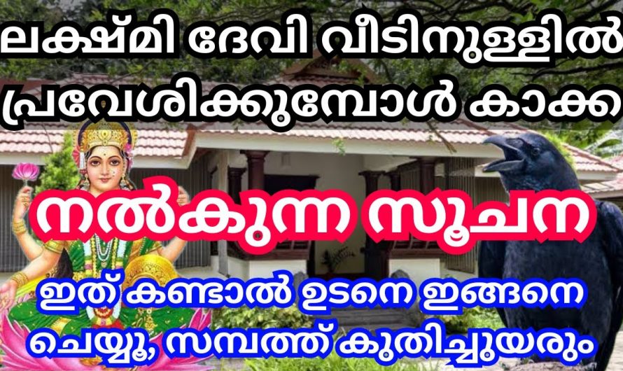 ഈ കറുത്ത പക്ഷി അത്ര നിസ്സാരമല്ല, ഇതിന്റെ സാന്നിധ്യം മഹാഭാഗ്യമാണ്