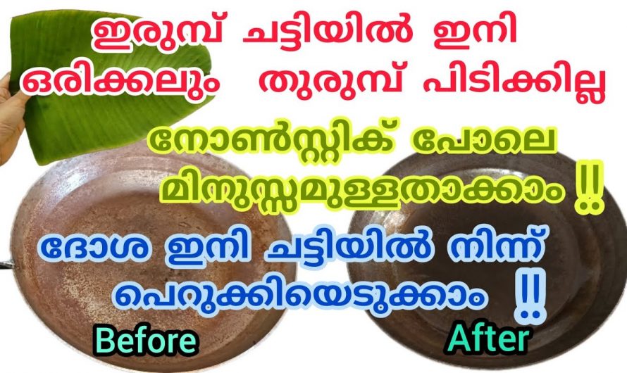 ഇരുമ്പ് ചട്ടികൾ ഇങ്ങനെ ചെയ്താൽ ഇനി നോൺസ്റ്റിക് പോലെ ഉപയോഗിക്കാം