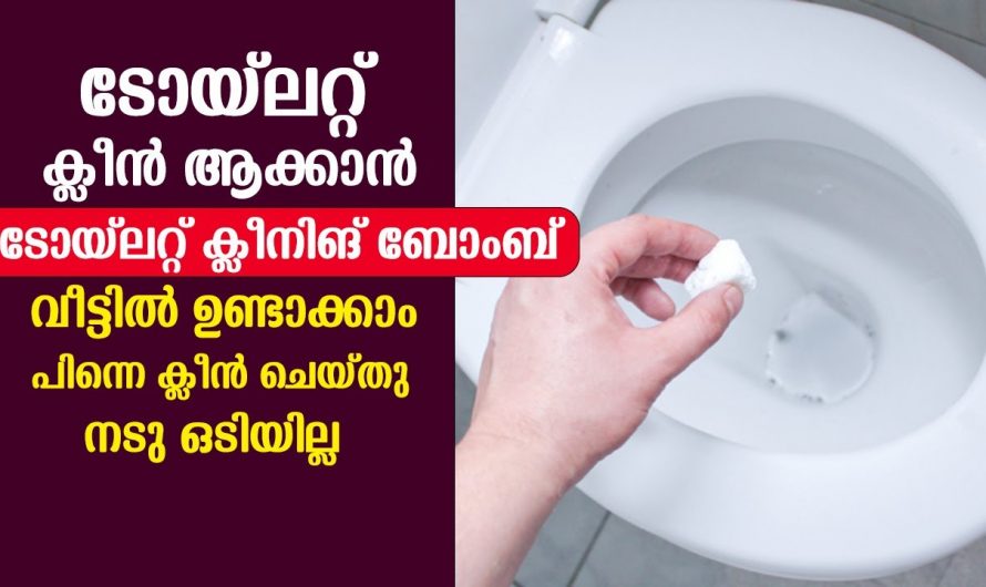 ബാത്റൂമിൽ വൃത്തിയാക്കാൻ ഒരു ബോംബ് വച്ചാലോ