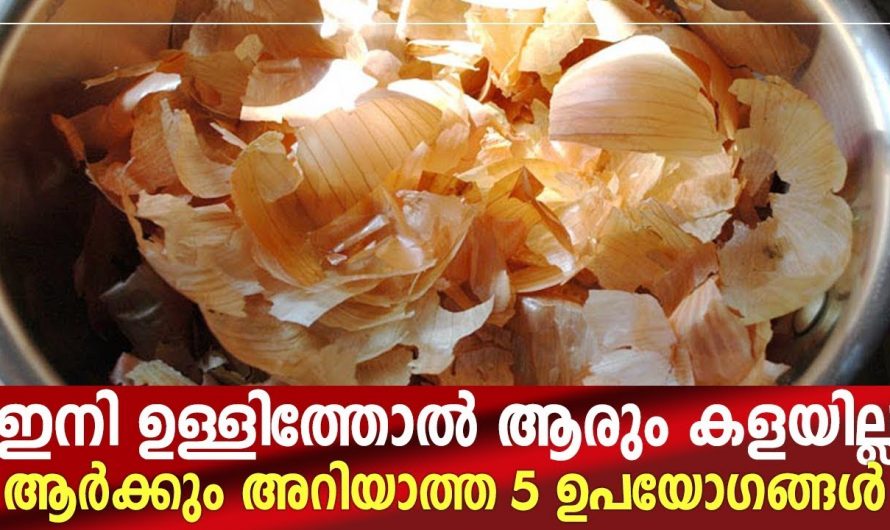 ഉള്ളിത്തൊലി അങ്ങനെ വെറുതെ കളയേണ്ട സാധനമല്ല