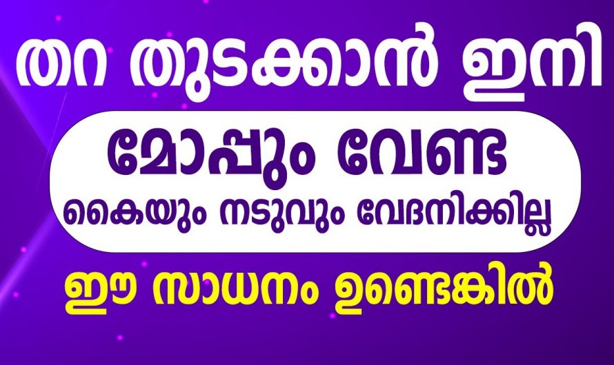 ഇതറിഞ്ഞാൽ നിങ്ങൾ ഇനി മോപ്പ് പണം കൊടുത്ത് വാങ്ങില്ല