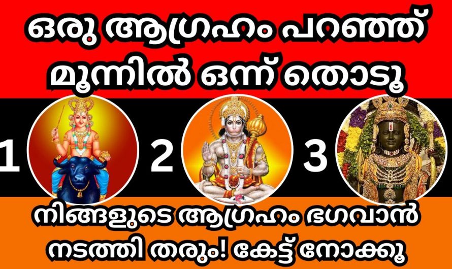 മനസ്സിലെ ആ വലിയ ആഗ്രഹം സാധിക്കാൻ ഇതിലൊന്നു തൊട്ടാൽ മതി